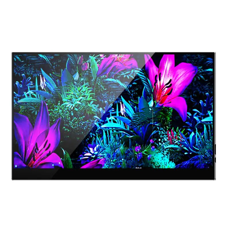 OLED 4K Portable Touchscreen Monitor 60Hz 15.6 Inch
